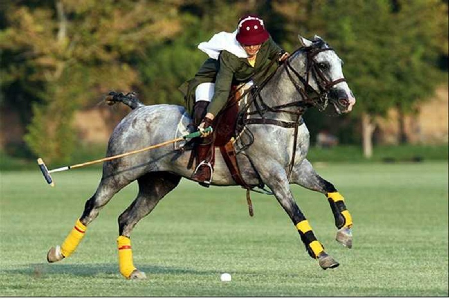 Môn Thể Thao Polo là gì? Tìm hiểu Luật Chơi Polo