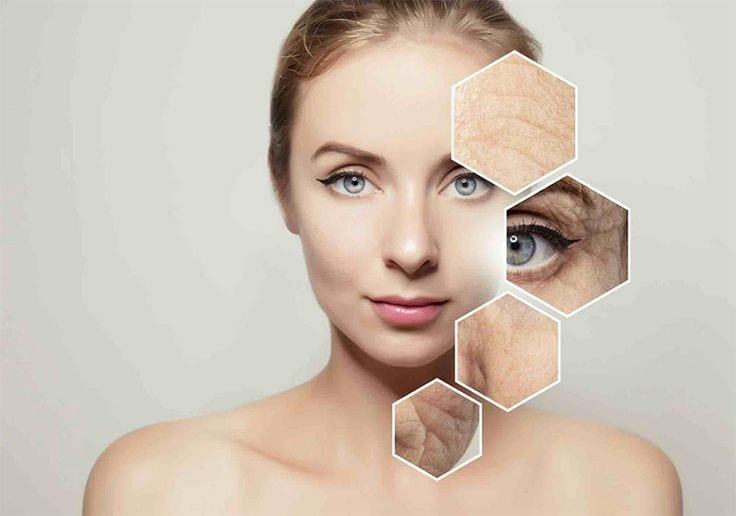 Tập thể dục mỗi ngày có giúp làm chậm quá trình lão hóa?