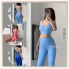 Bộ đồ tập gym nữ Set đồ tập yoga áo bra kết lưng quần legging dài HERSIGN-SET178B