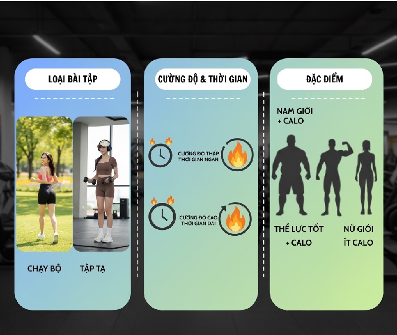 Tập Gym Đốt Bao Nhiêu Calo? Gợi Ý Bài Tập Đốt Calo Hiệu Quả