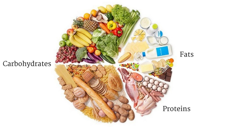 Các kiểu Bulking phổ biến hiện nay