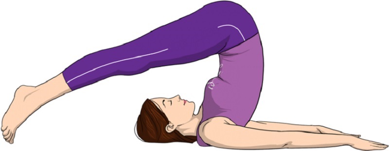 Các tư thế cơ bản trong Hatha Yoga
