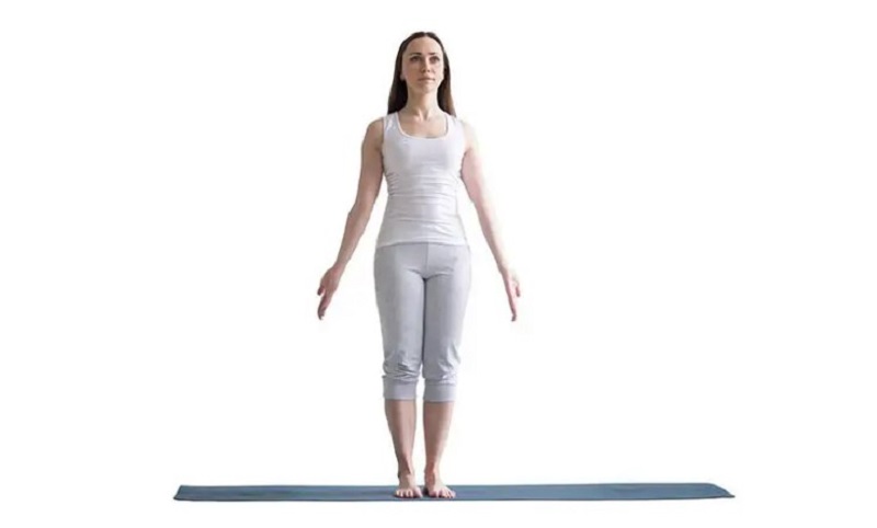 Các tư thế cơ bản trong Hatha Yoga